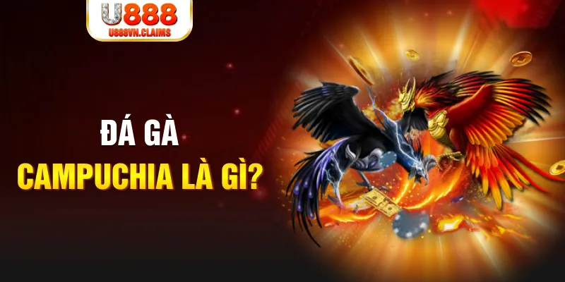 go88 com gà chọi đắk pơ
