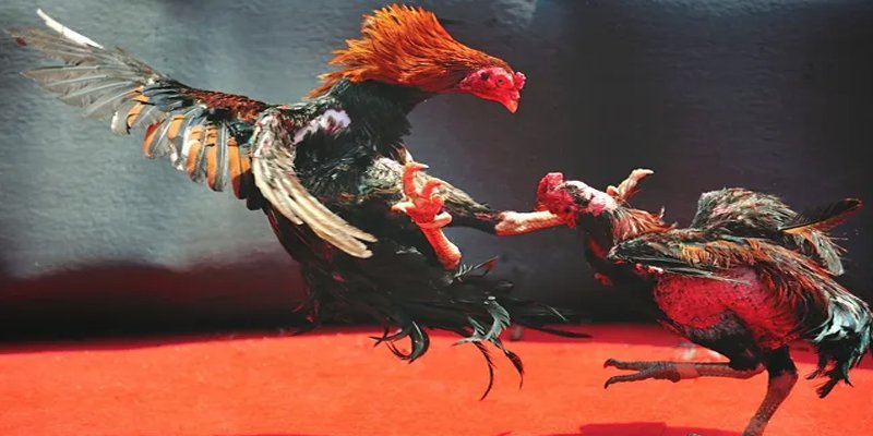 go88 com đăng nhập nổ hũ số 1