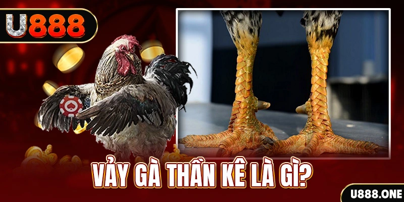 go88 com xổ số miền bắc thứ tư hàng tuần