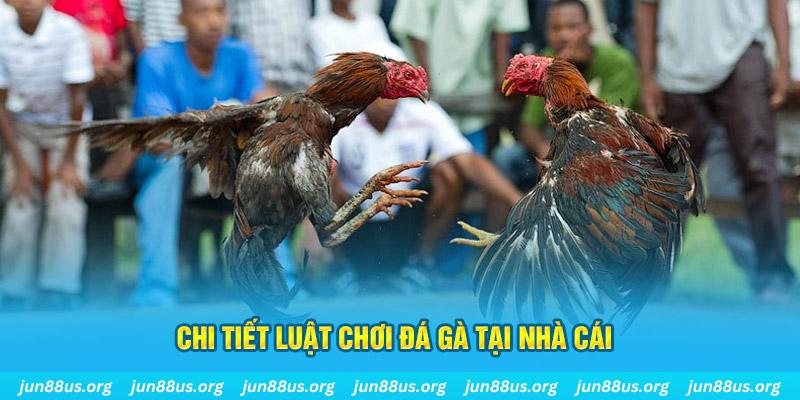 go88 com đá gà campuchia