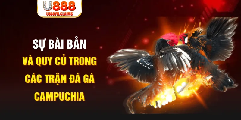 go88 com baccarat lừa đảo như thế nào