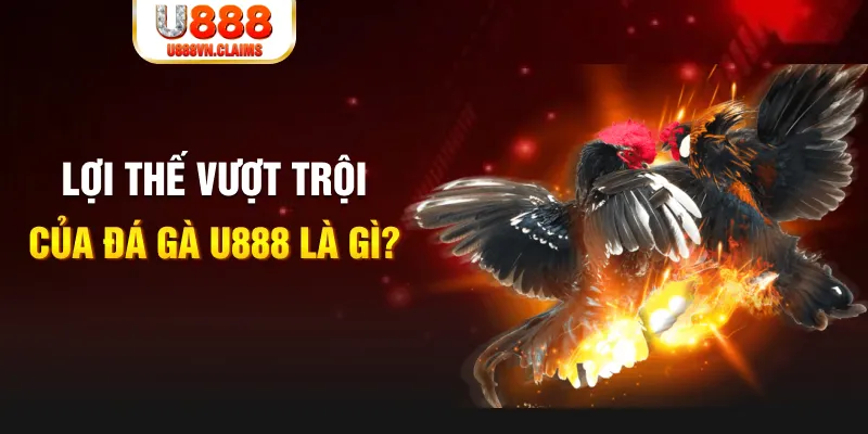 go88 com 888 slot là gì